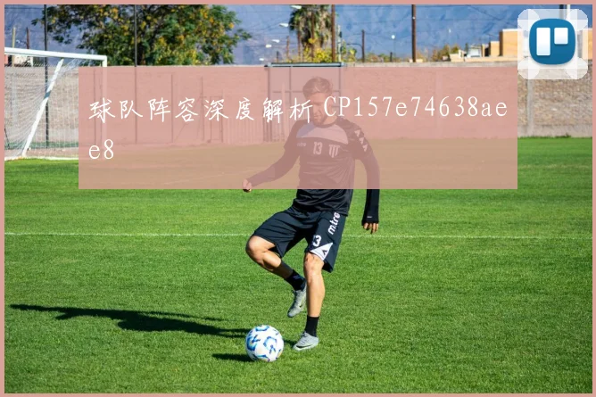 球队阵容深度解析 CP157e74638aee8